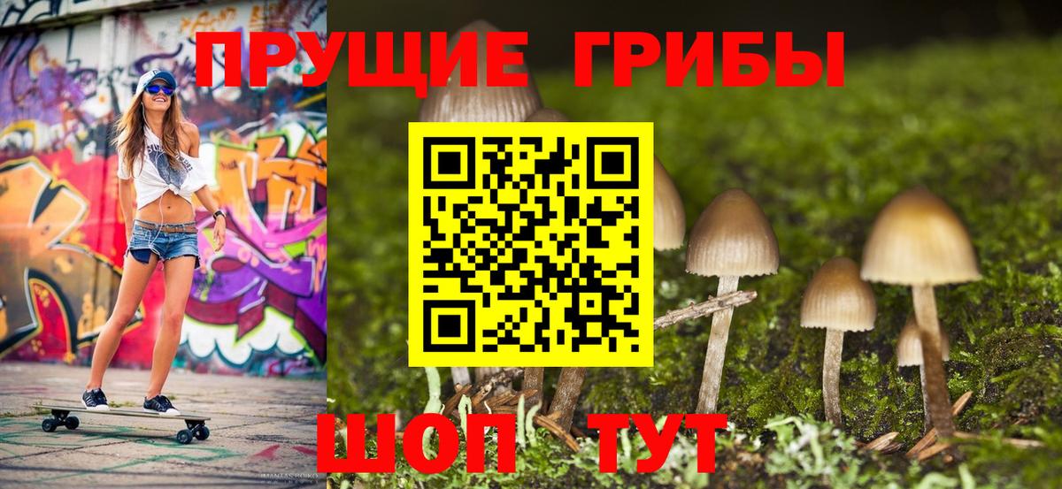 Михайловка  Псилоцибиновые грибы Psilocybe  Вход с VPN  дарнет шоп  Галлюциногенные грибы Psilocybine cubensis 